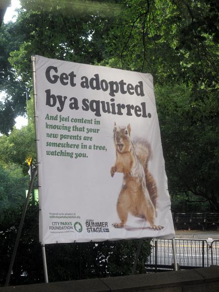NY (237).JPG